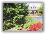Green Kare Landscaping - Maintenance